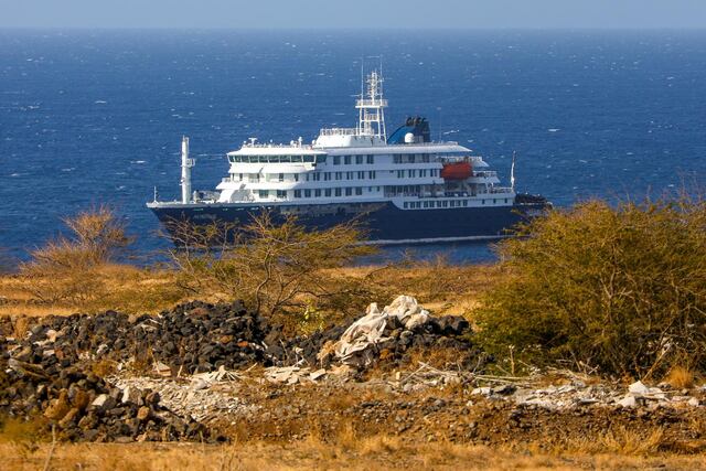 Debaten sobre destino de crucero con hantavirus mientras la OMS evalúa situación a bordo