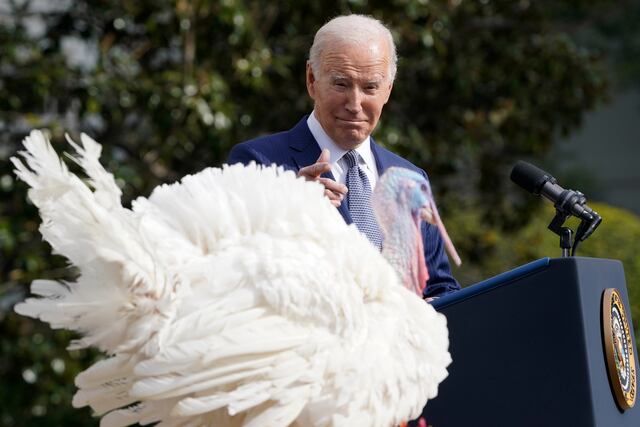 Biden otorga tradicional “perdón” a pavos del Día de Acción de Gracias