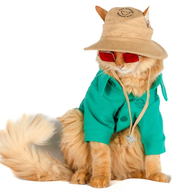 Toy Doggie presenta colección de disfraces responsables para ‘Halloween’