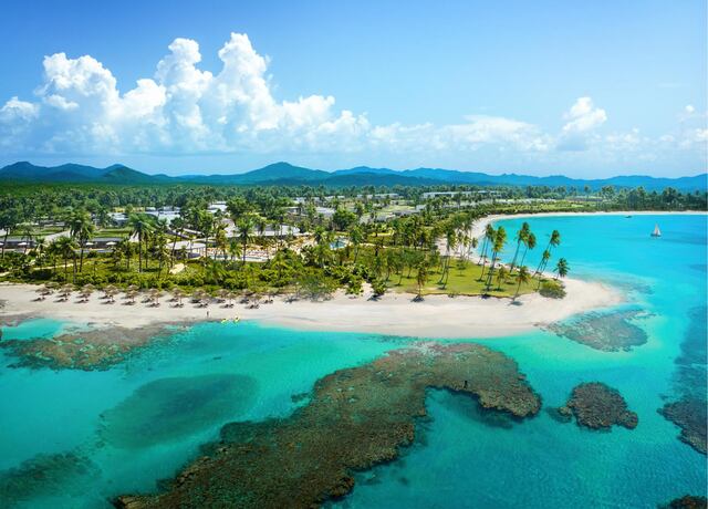 Colección Tropicalia lanza convocatoria para artistas del Caribe