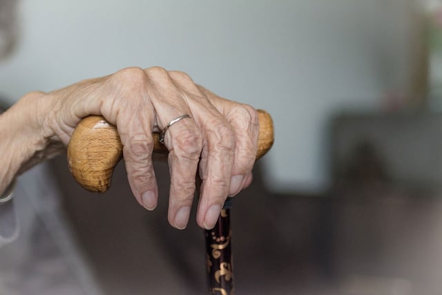 Aprueban crear la “Ley de Registro de Personas Adultos Mayores que Vivan Solas y de Personas Encamadas”