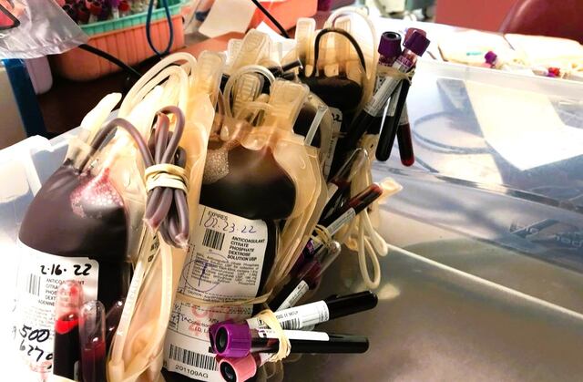 Celebran las vidas que se han salvado tras 15 años del Banco de Sangre de Centro Médico