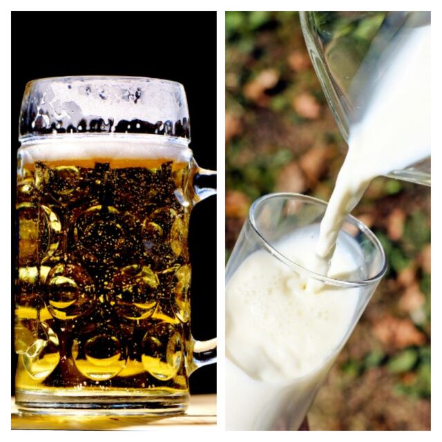 Ingerir cerveza es mas sano que tomar leche, según Harvard