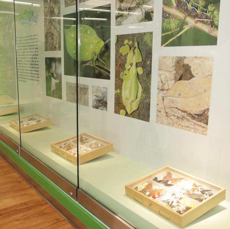 Museo de Entomología y Biodiversidad Tropical.