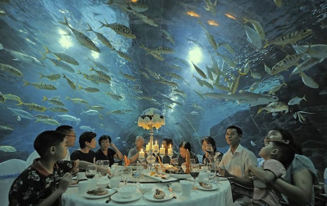 El restaurante submarino que deben conocer