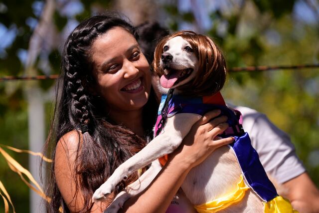 Decenas de perros disfrazados participaron en el Carnaval de Río