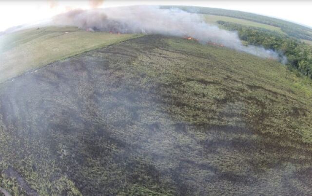 Bomberos controlan fuego forestal