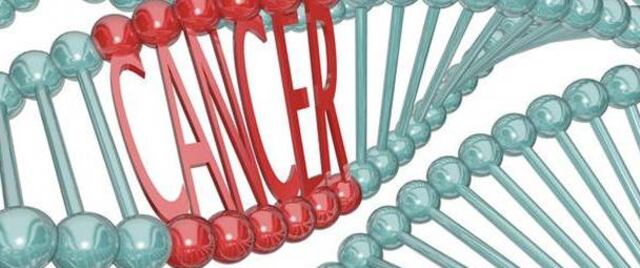 La cantidad de proteínas de la dieta, clave para prevenir cáncer colorrectal