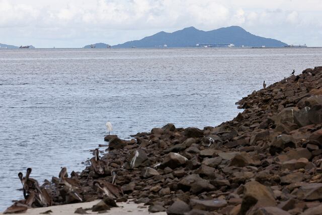Científicos se reúnen en Panamá para estudiar los océanos