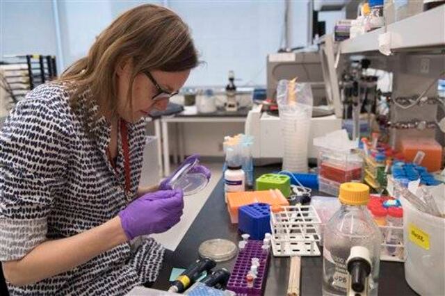 Científicos producen ADN desde cero
