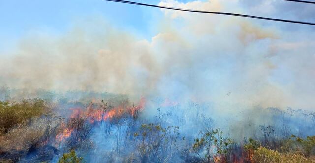 Cierran la PR-543 en Santa Isabel mientras bomberos controlan incendio forestal
