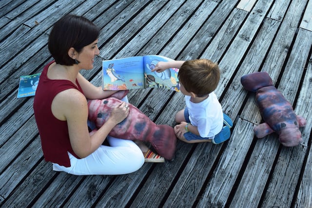 Madres educadoras en el hogar ofrecerán taller ambiental