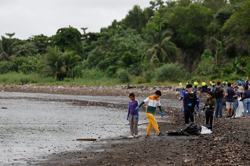 Personas recogen basura durante una jornada de limpieza de playas este sábado, en la desembocadura del Río Juan Díaz, en Ciudad de Panamá (Panamá). EFE/ Bienvenido Velasco