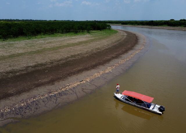 Más de 100 delfines muertos en la Amazonía brasileña