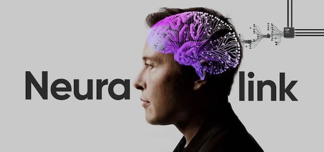 FDA frena a Elon Musk con su idea de hacer pruebas de chips en cerebros de humanos