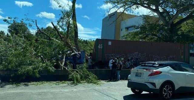 Muere chofer al caer árbol sobre su camión en la PR-1 en Cupey; cierran tramo al tránsito