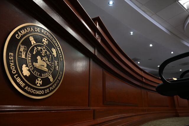 Cámara asigna sobre $1 millón a organizaciones sin fines de lucro que brindan servicio a mujeres maltratadas