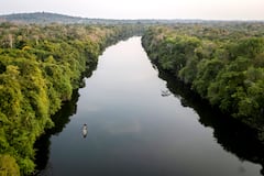 Deforestación en la Amazonía cae a su menor nivel en casi 40 años