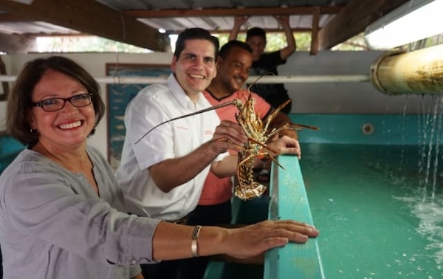 DACO ofrece recomendaciones a la hora de comprar pescado