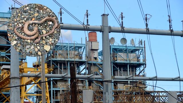 Miles se quedan sin luz por culpa de una culebra en Manatí
