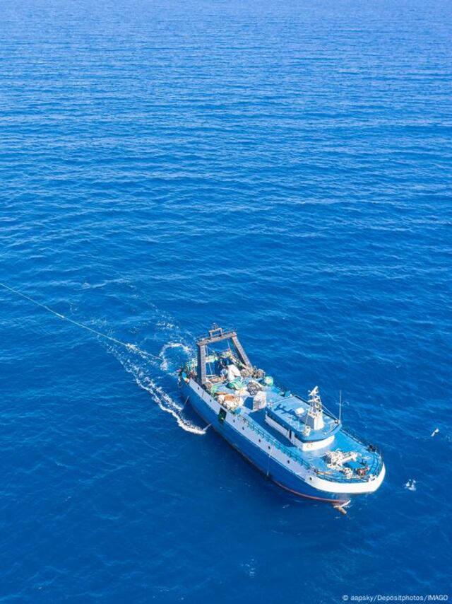 Nueva tecnología satelital detecta pesca ilegal en áreas protegidas