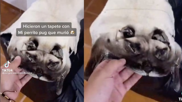 Tiktoker muestra alfombra que mandó a hacer con la piel de sus perritos