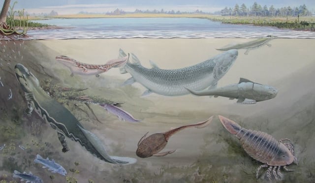 Descubren nueva especie fósil de pez gigante que devoró a nuestros ancestros