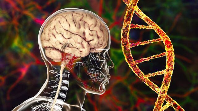 Nuevo estudio revela que los adultos pueden reducir los riesgos de Alzheimer con cambios en el estilo de vida