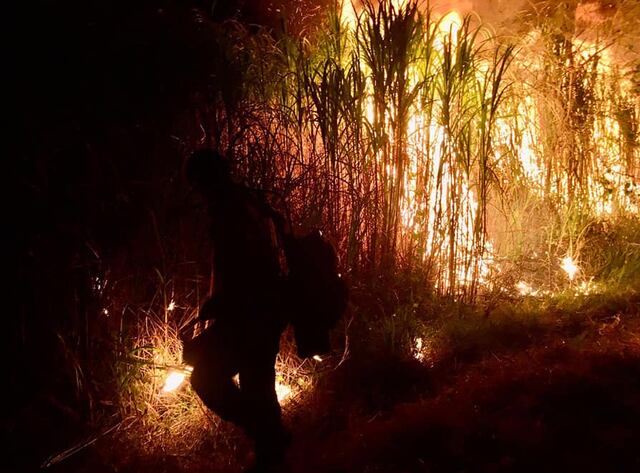 Lluvias ligeras logran apagar parte de los incendios forestales en Bolivia