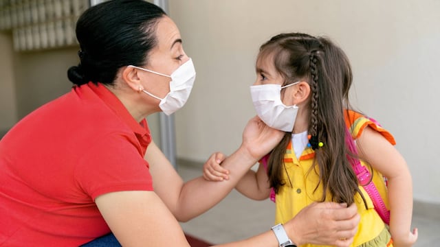 La mitad de las familias necesitarán atenciones en salud mental o consejerías post pandemia