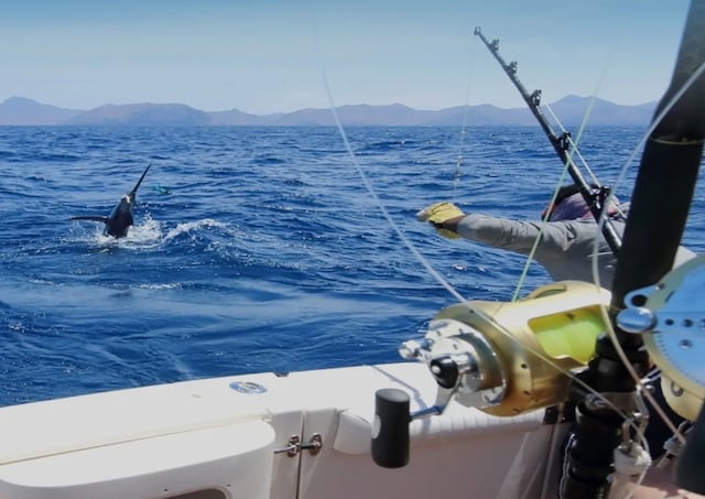 Capitanes de Pesca de Puerto Rico entre los mejores del mundo de los Angler’s Choice 2026