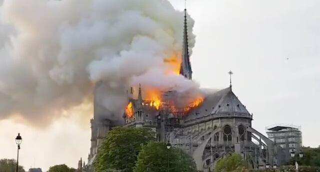 Notre Dame resiste