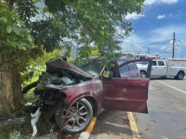 Menor de un año queda grave tras vehículo estrellarse contra un árbol en Juncos