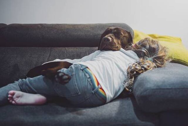 El 95 % de los latinoamericanos considera a sus perros parte de la familia