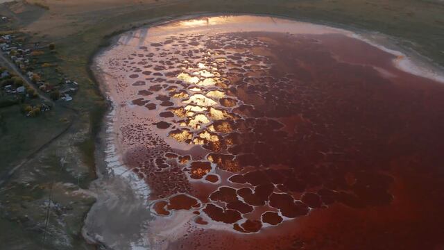 Altas temperaturas tiñen de rojo un lago en Siberia