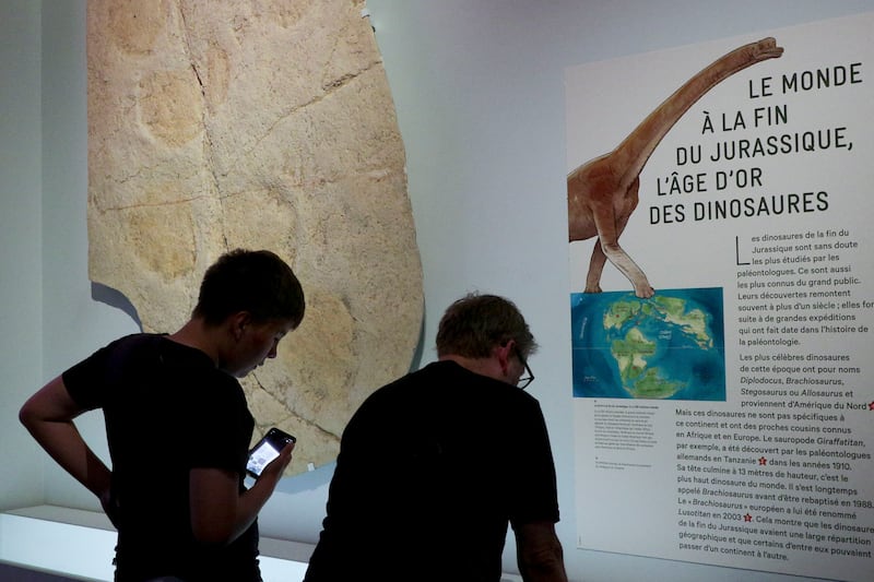 El Museo Nacional de Historia Natural de París organiza una exposición temporal en la que rescata fósiles de dinosaurios de hace 140 millones de años para mostrar a los visitantes los animales que poblaban lo que hoy es Francia. EFE/ Edgar Sapiña Manchado