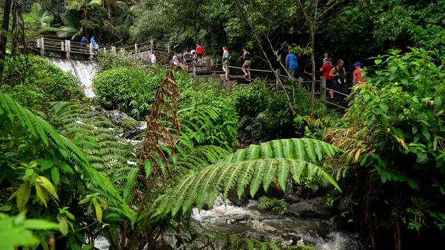 Propuesta propone cobrar tarifas de acceso al Bosque Nacional El Yunque