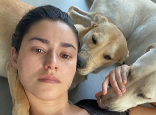 Periodista denuncia que le envenenaron a sus dos perros que había rescatado