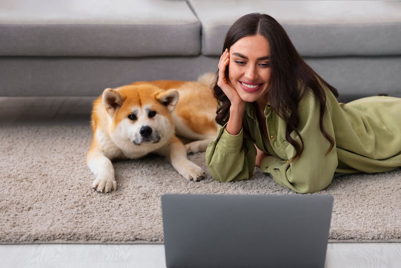 Muchos perros muestran un interés especial por programas en los que aparecen animales, sobre todo de su propia especie, y documentales de naturaleza, de acuerdo con diferentes estudios. Foto: Freepik.