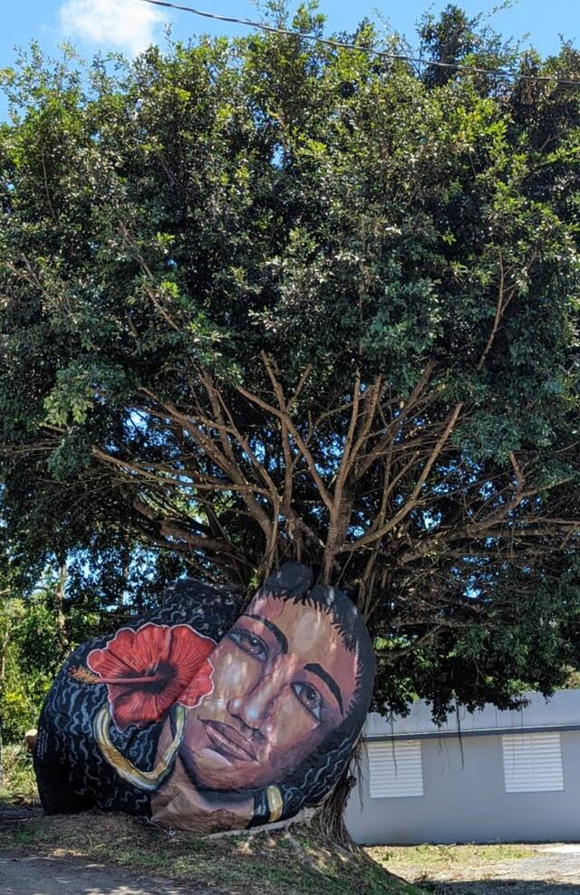 Develan mural de piedra realizado por artistas de Las Piedras