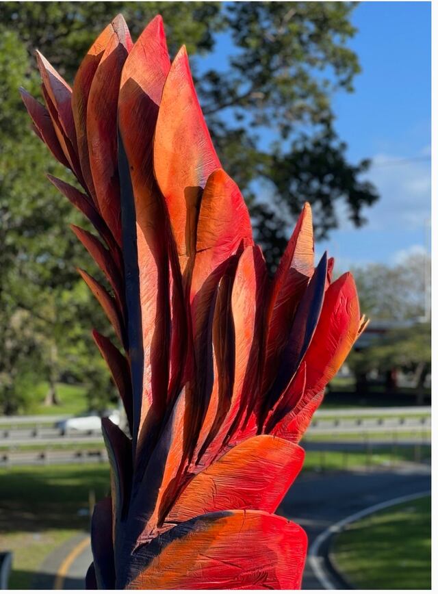 Artista crea obra de arte al tallar un árbol que adornará la zona de Condado