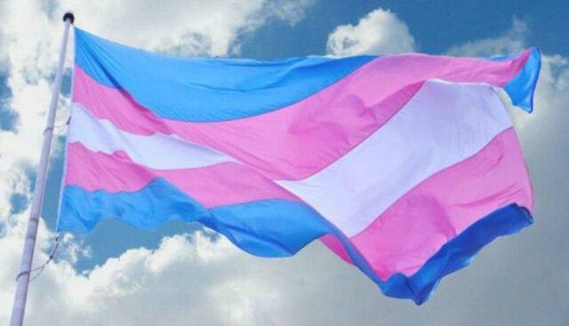 Licencia de maternidad en Colombia también aplicará para personas transgénero y no binarias