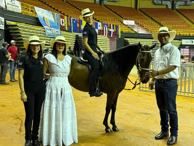 Arecibo recibe desde este jueves el 36to Campeonato Internacional de Paso Fino