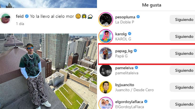 Feid le dedicó una publicación a Karol G y a su suegro le gustó.