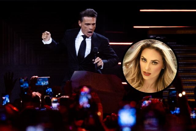 Aseguran que Luis Miguel pagó millonaria pensión a Aracely Arámbula