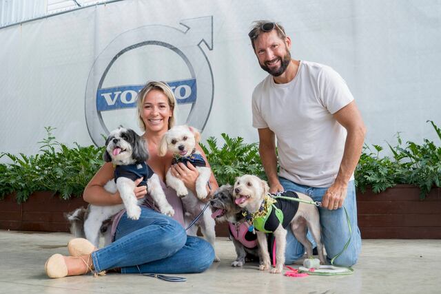 Volvo Puerto Rico realiza evento para mascotas