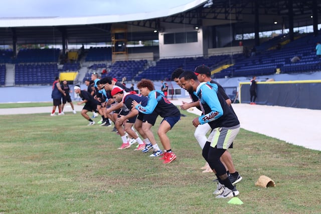 Pelota AA: Leones de Patillas vuelven a jugar en su estadio tras cinco años de espera