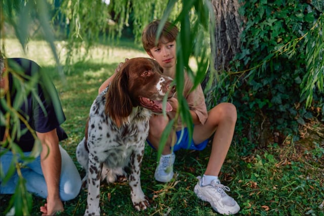 ¿Cómo proteger a las mascotas de parásitos durante el verano?