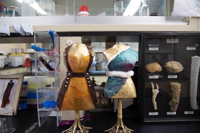 Estudiantes crean alternativas ecoamigables para la industria de la moda