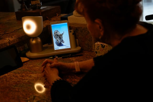 Robot que habla ayuda a ancianos a combatir la soledad